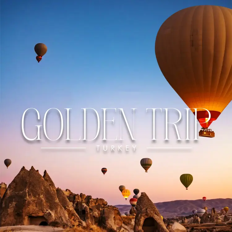 image of Golden Trip Ticket